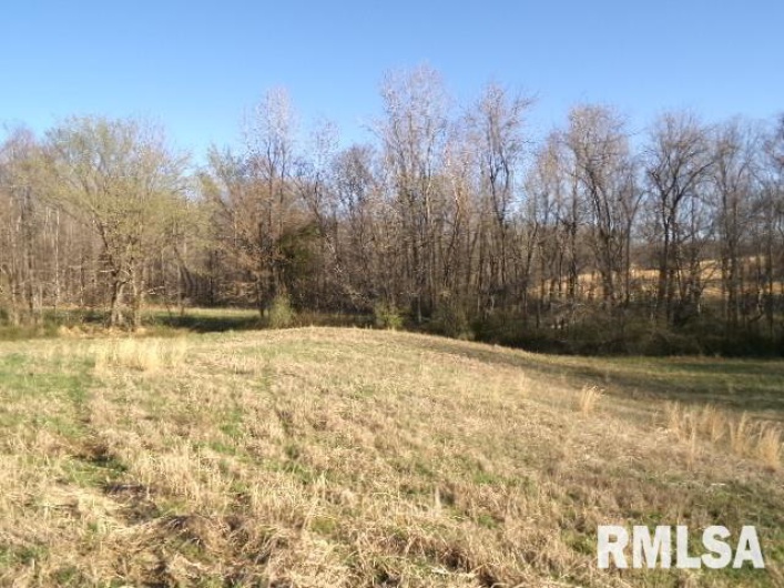 2225 Route 34 Route, Rosiclare, Illinois 62982, 4 Bedrooms Bedrooms, 0 ,2 BathroomsBathrooms,Residential,For Sale,Route 34,0,RMAEB457251