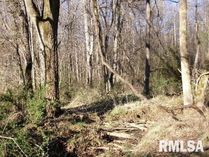 2225 Route 34 Route, Rosiclare, Illinois 62982, 4 Bedrooms Bedrooms, 0 ,2 BathroomsBathrooms,Residential,For Sale,Route 34,0,RMAEB457251