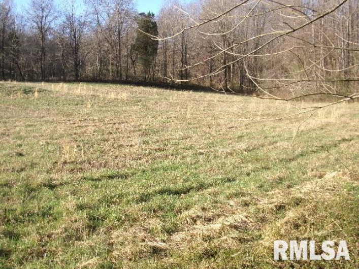 2225 Route 34 Route, Rosiclare, Illinois 62982, 4 Bedrooms Bedrooms, 0 ,2 BathroomsBathrooms,Residential,For Sale,Route 34,0,RMAEB457251