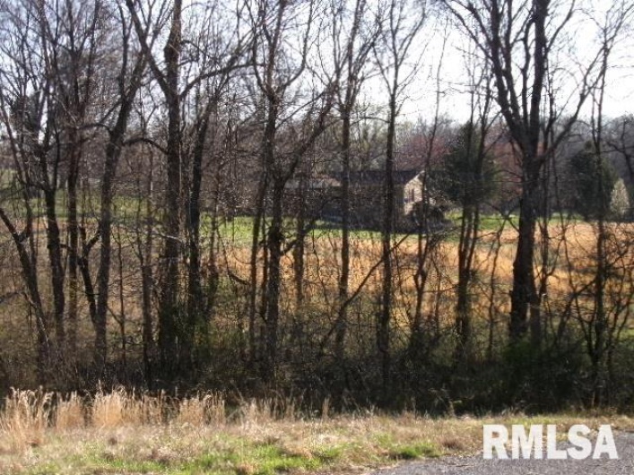 2225 Route 34 Route, Rosiclare, Illinois 62982, 4 Bedrooms Bedrooms, 0 ,2 BathroomsBathrooms,Residential,For Sale,Route 34,0,RMAEB457251