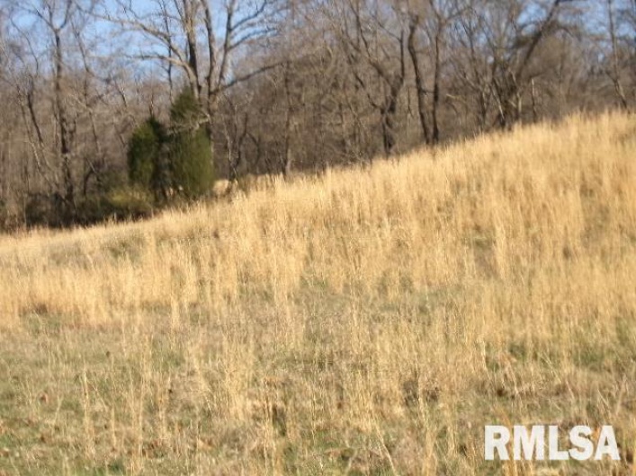 2225 Route 34 Route, Rosiclare, Illinois 62982, 4 Bedrooms Bedrooms, 0 ,2 BathroomsBathrooms,Residential,For Sale,Route 34,0,RMAEB457251