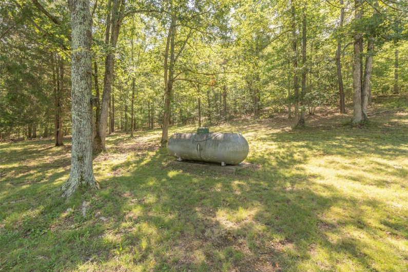2168 State Hwy 49, Piedmont, Missouri 63957, 1 Bedroom Bedrooms, 5 Rooms Rooms,1 BathroomBathrooms,Farm,For Sale,State Hwy 49,MAR23047942