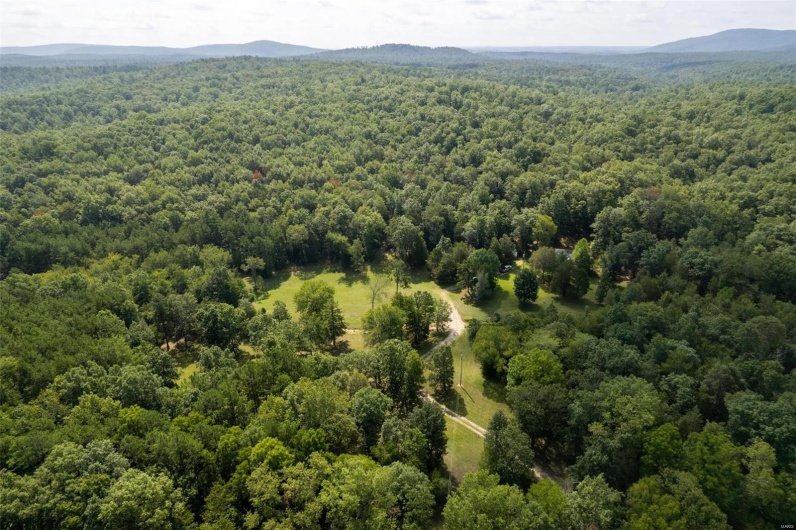 2168 State Hwy 49, Piedmont, Missouri 63957, 1 Bedroom Bedrooms, 5 Rooms Rooms,1 BathroomBathrooms,Farm,For Sale,State Hwy 49,MAR23047942
