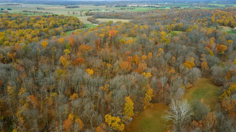 0 County Road 259, Advance, Missouri 63730, ,Farm,For Sale,County Road 259,MAR25017758
