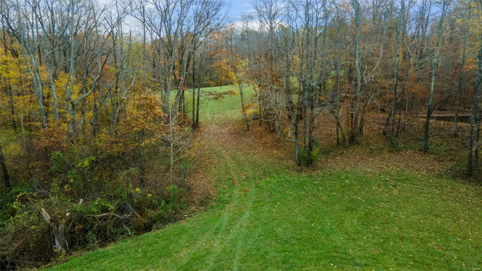 0 County Road 259, Advance, Missouri 63730, ,Farm,For Sale,County Road 259,MAR25017758