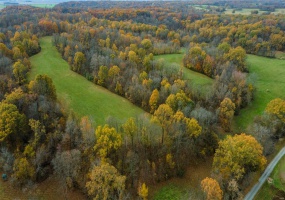0 County Road 259, Advance, Missouri 63730, ,Farm,For Sale,County Road 259,MAR25017758