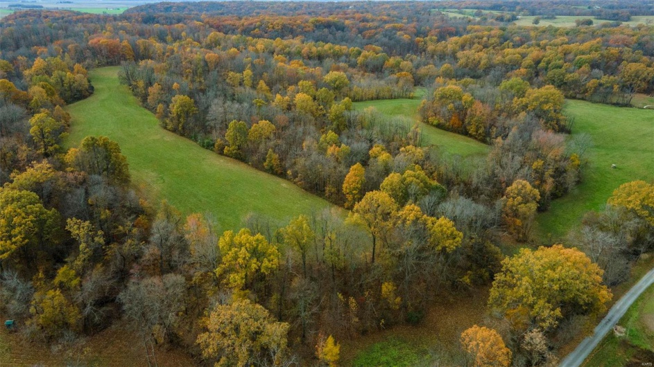 0 County Road 259, Advance, Missouri 63730, ,Farm,For Sale,County Road 259,MAR25017758
