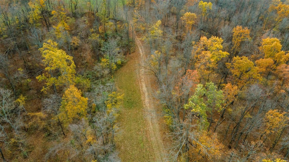0 County Road 259, Advance, Missouri 63730, ,Farm,For Sale,County Road 259,MAR25017758