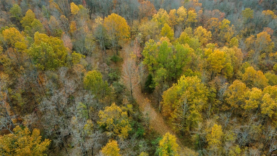 0 County Road 259, Advance, Missouri 63730, ,Farm,For Sale,County Road 259,MAR25017758