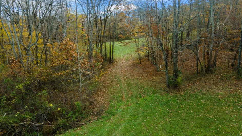 0 County Road 259, Advance, Missouri 63730, ,Farm,For Sale,County Road 259,MAR25017758