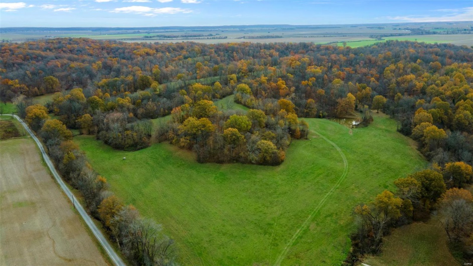 0 County Road 259, Advance, Missouri 63730, ,Farm,For Sale,County Road 259,MAR25017758