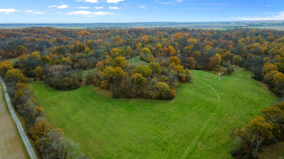 0 County Road 259, Advance, Missouri 63730, ,Farm,For Sale,County Road 259,MAR25017758