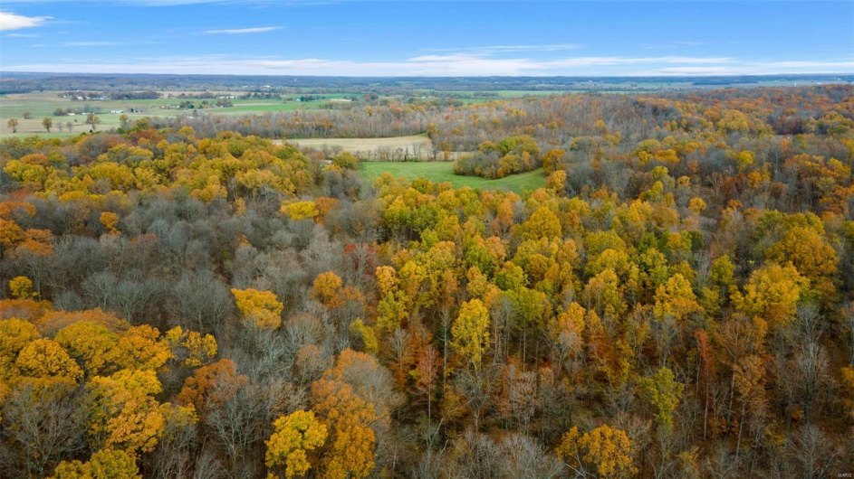 0 County Road 259, Advance, Missouri 63730, ,Farm,For Sale,County Road 259,MAR25017758