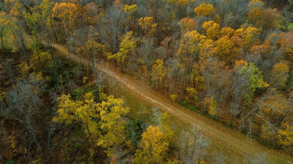 0 County Road 259, Advance, Missouri 63730, ,Farm,For Sale,County Road 259,MAR25017758