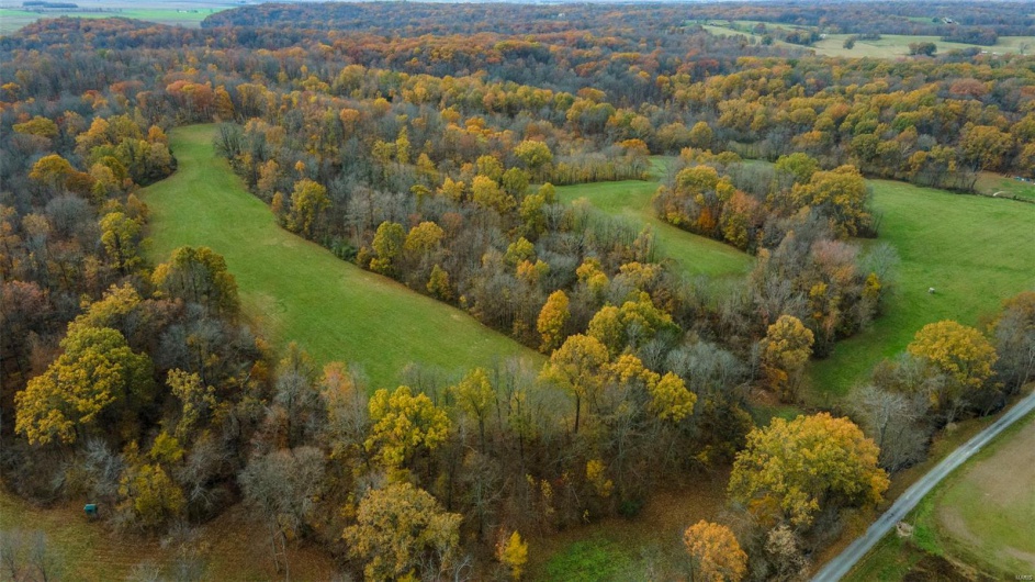 0 County Road 259, Advance, Missouri 63730, ,Farm,For Sale,County Road 259,MAR25017758