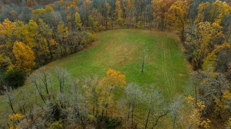0 County Road 259, Advance, Missouri 63730, ,Farm,For Sale,County Road 259,MAR25017758