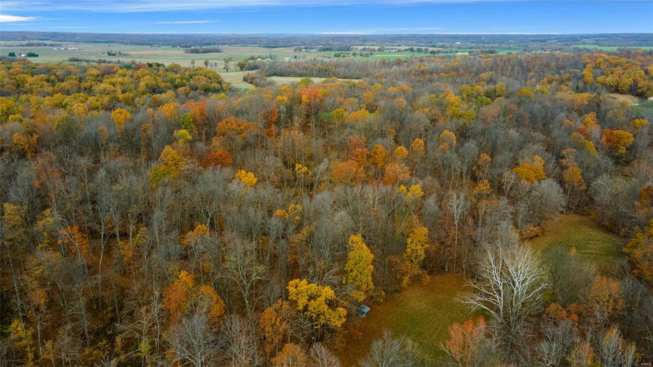 0 County Road 259, Advance, Missouri 63730, ,Farm,For Sale,County Road 259,MAR25017758
