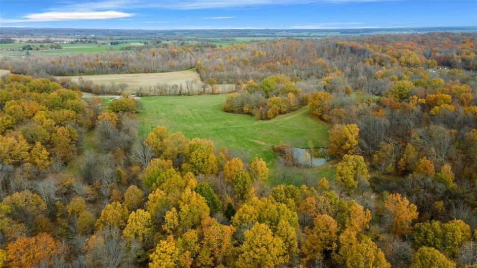0 County Road 259, Advance, Missouri 63730, ,Farm,For Sale,County Road 259,MAR25017758