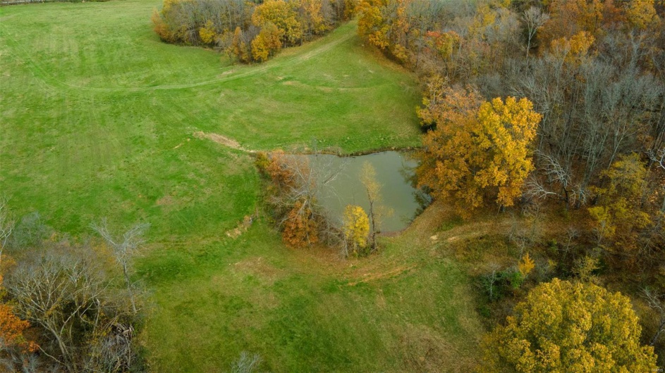 0 County Road 259, Advance, Missouri 63730, ,Farm,For Sale,County Road 259,MAR25017758