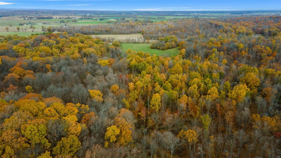 0 County Road 259, Advance, Missouri 63730, ,Farm,For Sale,County Road 259,MAR25017758