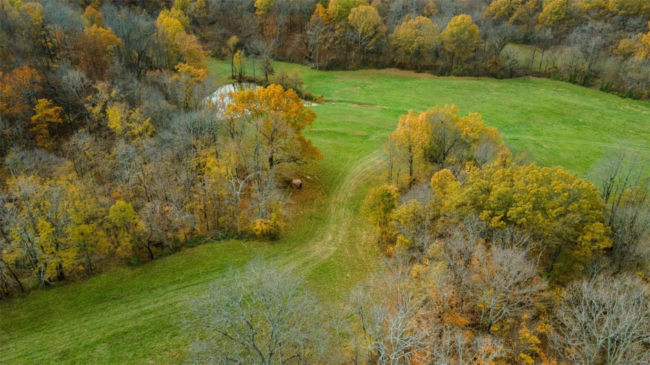 0 County Road 259, Advance, Missouri 63730, ,Farm,For Sale,County Road 259,MAR25017758
