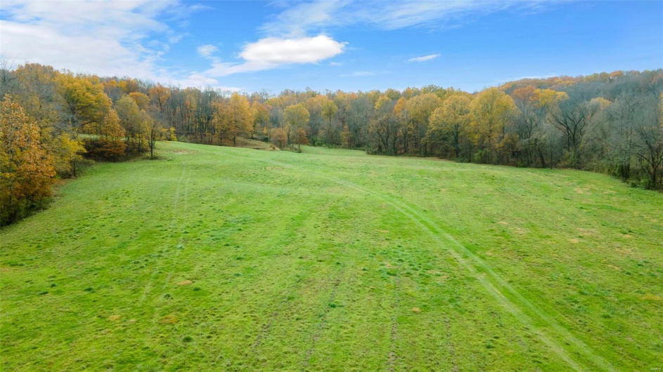 0 County Road 259, Advance, Missouri 63730, ,Farm,For Sale,County Road 259,MAR25017758