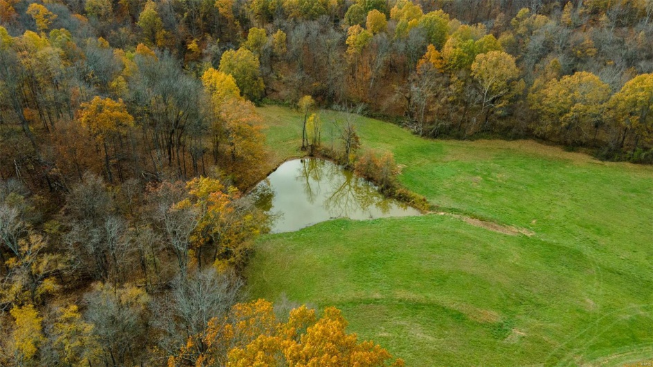 0 County Road 259, Advance, Missouri 63730, ,Farm,For Sale,County Road 259,MAR25017758