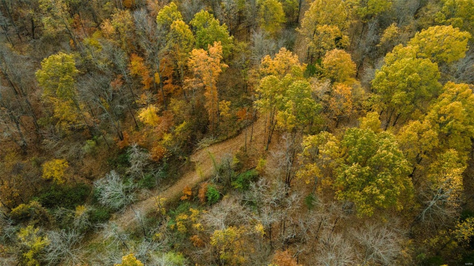 0 County Road 259, Advance, Missouri 63730, ,Farm,For Sale,County Road 259,MAR25017758