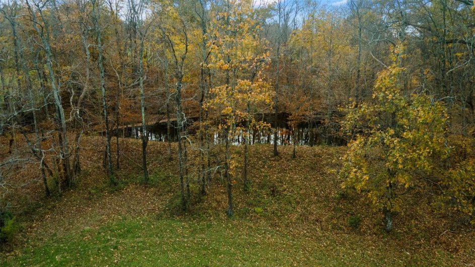 0 County Road 259, Advance, Missouri 63730, ,Farm,For Sale,County Road 259,MAR25017758