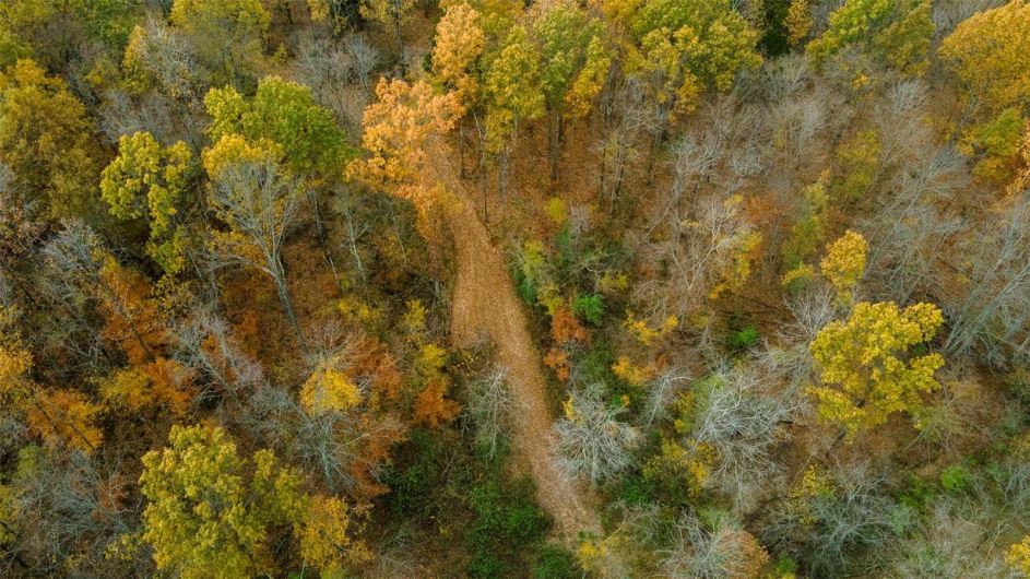 0 County Road 259, Advance, Missouri 63730, ,Farm,For Sale,County Road 259,MAR25017758