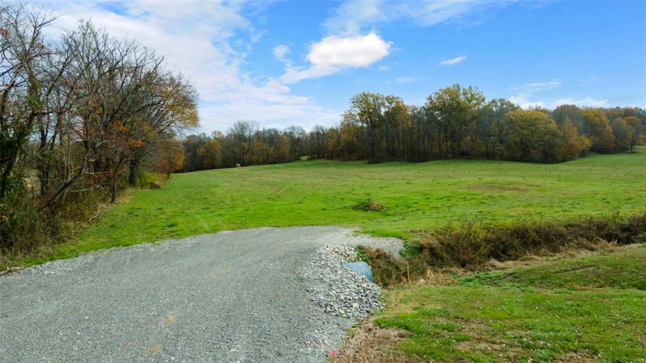 0 County Road 259, Advance, Missouri 63730, ,Farm,For Sale,County Road 259,MAR25017758