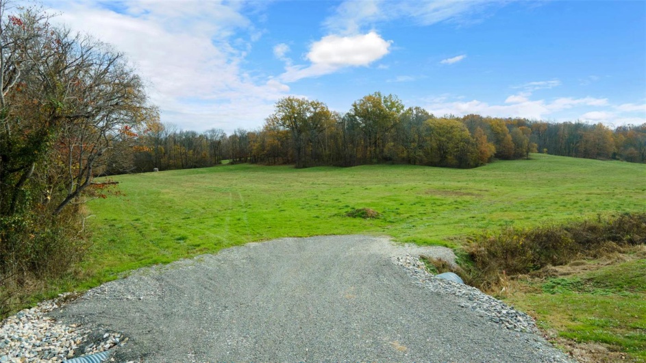 0 County Road 259, Advance, Missouri 63730, ,Farm,For Sale,County Road 259,MAR25017758
