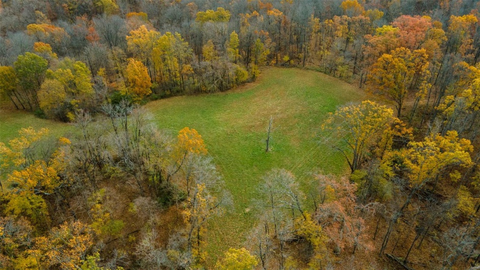 0 County Road 259, Advance, Missouri 63730, ,Farm,For Sale,County Road 259,MAR25017758