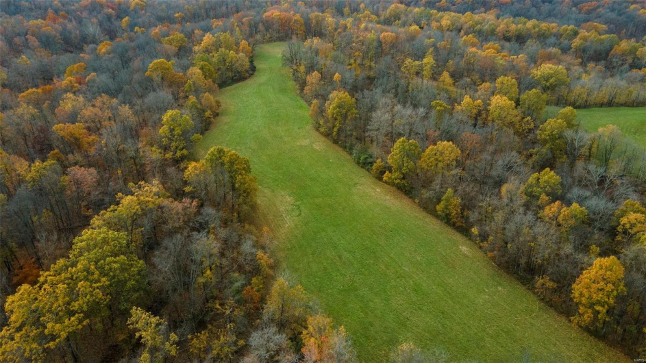 0 County Road 259, Advance, Missouri 63730, ,Farm,For Sale,County Road 259,MAR25017758
