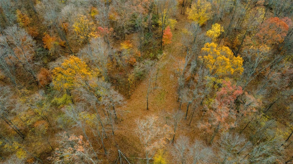 0 County Road 259, Advance, Missouri 63730, ,Farm,For Sale,County Road 259,MAR25017758