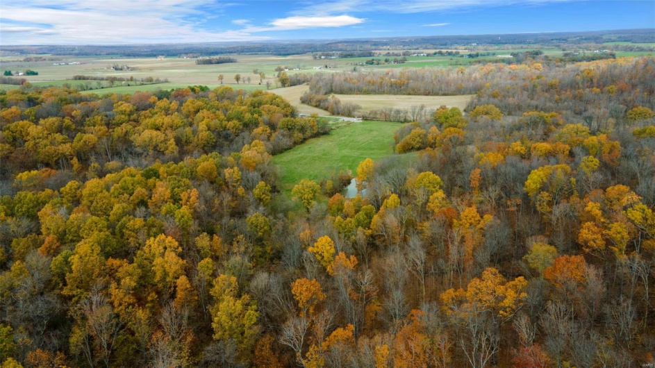 0 County Road 259, Advance, Missouri 63730, ,Farm,For Sale,County Road 259,MAR25017758