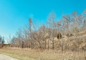 0 State Highway J, Jackson, Missouri 63755, ,Farm,For Sale,State Highway J,MAR25018232