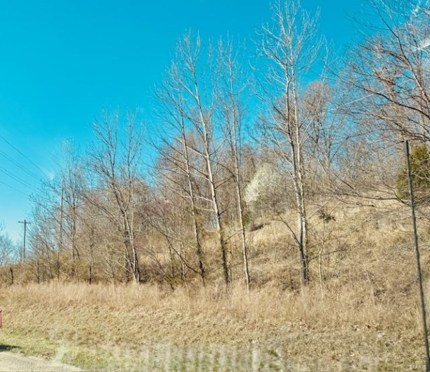 0 State Highway J, Jackson, Missouri 63755, ,Farm,For Sale,State Highway J,MAR25018232