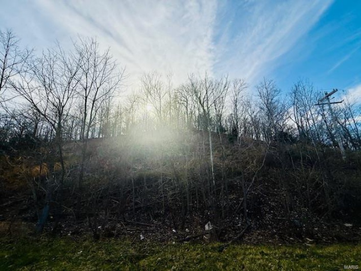 0 State Highway J, Jackson, Missouri 63755, ,Farm,For Sale,State Highway J,MAR25018232