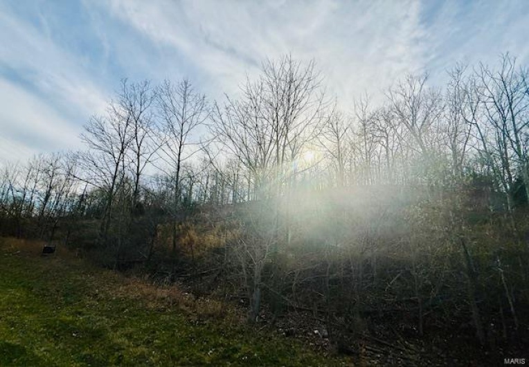 0 State Highway J, Jackson, Missouri 63755, ,Farm,For Sale,State Highway J,MAR25018232