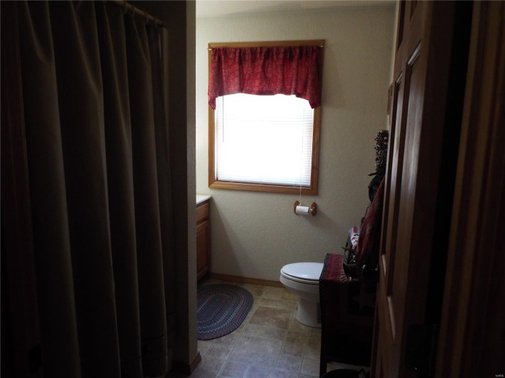 255 Wayne 342 Road, Piedmont, Missouri 63957, 3 Bedrooms Bedrooms, 10 Rooms Rooms,2 BathroomsBathrooms,Farm,For Sale,Wayne 342,MAR25019044