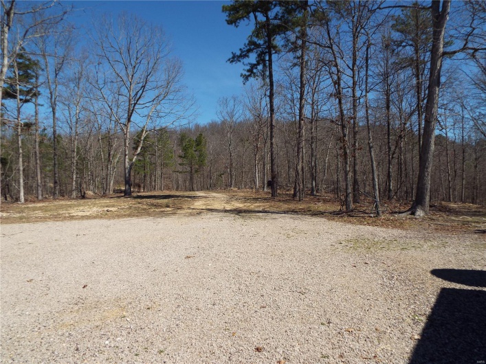 255 Wayne 342 Road, Piedmont, Missouri 63957, 3 Bedrooms Bedrooms, 10 Rooms Rooms,2 BathroomsBathrooms,Farm,For Sale,Wayne 342,MAR25019044