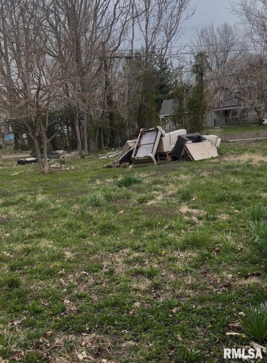 1011 NEWTON Avenue, Johnston City, Illinois 62951, 0 , 0 ,0,Land,For Sale,NEWTON,0,RMAEB457296