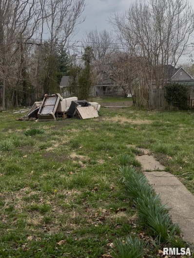 1011 NEWTON Avenue, Johnston City, Illinois 62951, 0 , 0 ,0,Land,For Sale,NEWTON,0,RMAEB457296