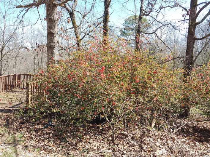 19775 Hwy E, Ironton, Missouri 63650, 3 Bedrooms Bedrooms, 12 Rooms Rooms,2 BathroomsBathrooms,Residential,For Sale,Hwy E,MAR24019128