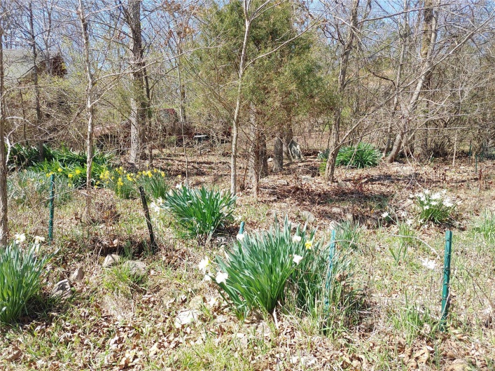 19775 Hwy E, Ironton, Missouri 63650, 3 Bedrooms Bedrooms, 12 Rooms Rooms,2 BathroomsBathrooms,Residential,For Sale,Hwy E,MAR24019128