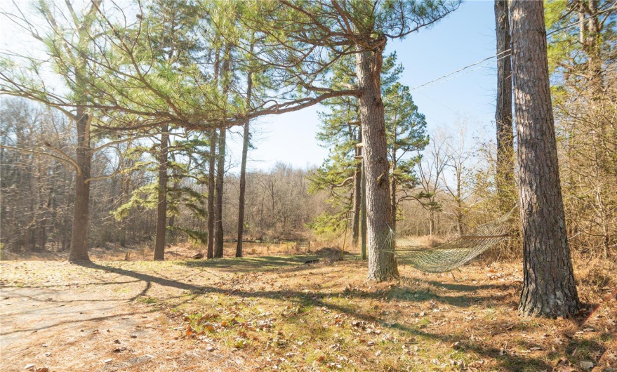 24898 State Highway AB -, Essex, Missouri 63846, 24 Bedrooms Bedrooms, 24 Rooms Rooms,10 BathroomsBathrooms,Residential,For Sale,State Highway AB -,MAR25019319
