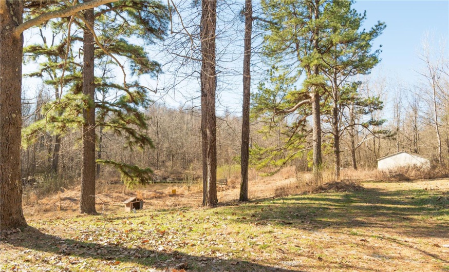 24898 State Highway AB -, Essex, Missouri 63846, 24 Bedrooms Bedrooms, 24 Rooms Rooms,10 BathroomsBathrooms,Residential,For Sale,State Highway AB -,MAR25019319