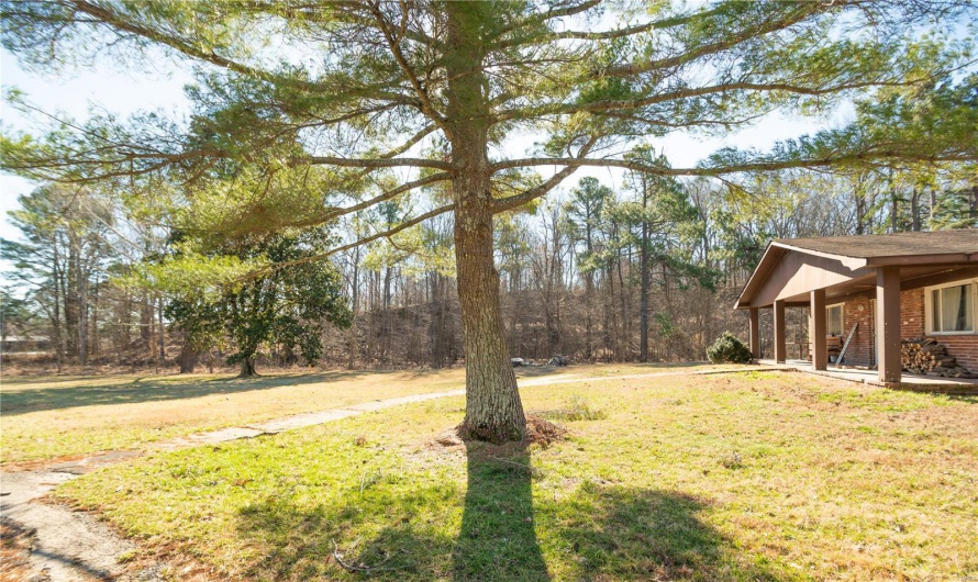 24898 State Highway AB -, Essex, Missouri 63846, 24 Bedrooms Bedrooms, 24 Rooms Rooms,10 BathroomsBathrooms,Residential,For Sale,State Highway AB -,MAR25019319