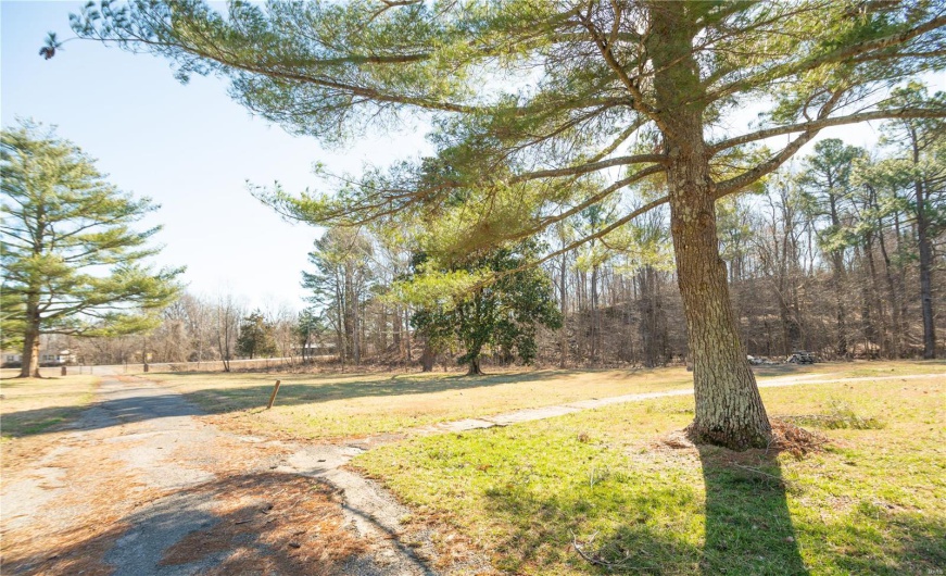 24898 State Highway AB -, Essex, Missouri 63846, 24 Bedrooms Bedrooms, 24 Rooms Rooms,10 BathroomsBathrooms,Residential,For Sale,State Highway AB -,MAR25019319